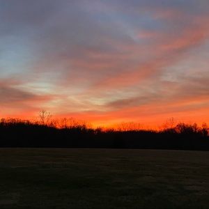 Meet your Posher, Marcia